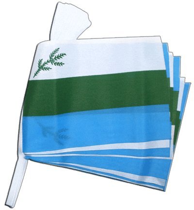 Guirlande drapeau Canada Labrador Digni 5,9 m pavillon suspendu extérieur