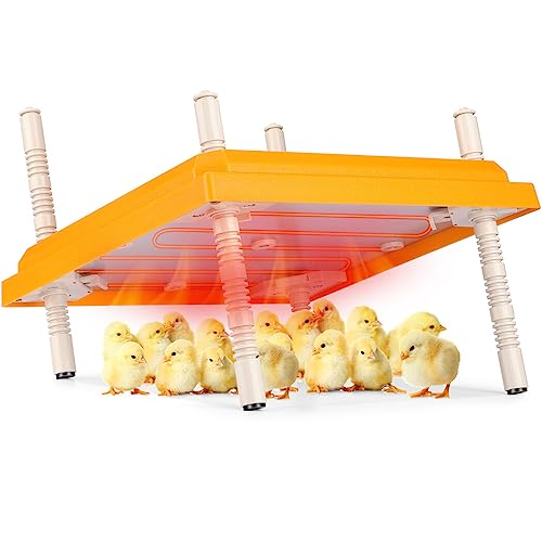 Brooder Heater for Chicks, 10