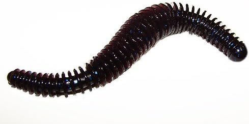 GRANDE 4.5-Inch Rattlesnake Blue Fleck Bait Lure