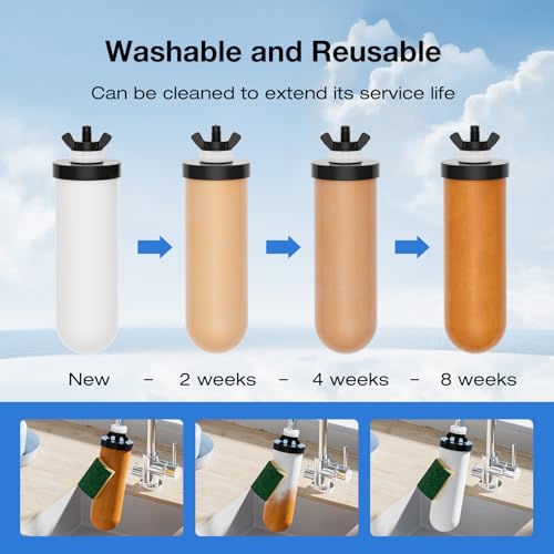 Image of Purewell 8-Stage Gravity Fed Water Filter System, 2.25 Gallon Stainless Steel Countertop System with 4 Filters, Metal Water Level Spigot and Stand, Reduce Fluoride and Chlorine, PW-OBT-CF