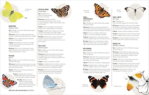 How to Attract Wildlife to Your Garden: Foods They Like, Plants They Love, Shelter They Need