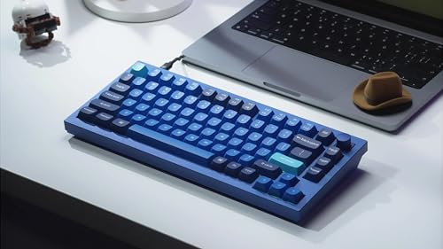 Image of Q1 Swappable RGB Backlight Blue Switch Knob Version - Blue