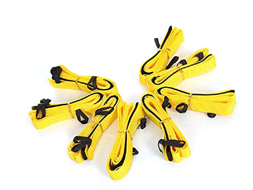 NATIV Longier-Set für Hunde, Radius 3-3,5m, Hundetraining, Longieren mit Hund