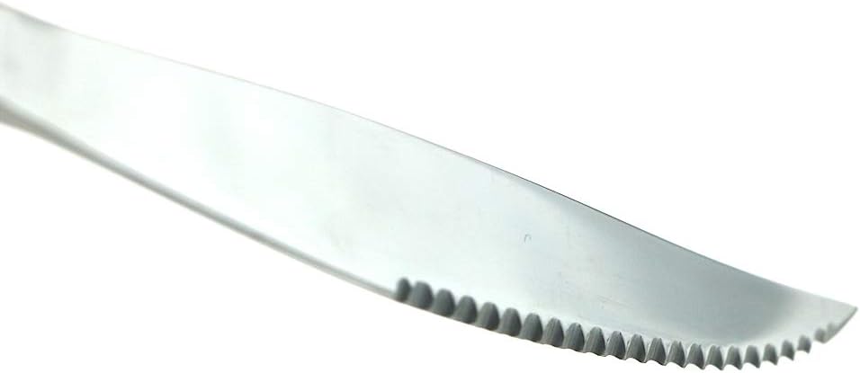 8 Pieces Mirror 304 Stainless Steel Steak Knife Set Flatware 9-inch Silver Heavy Duty Shiny Serrated Knives Service for 8