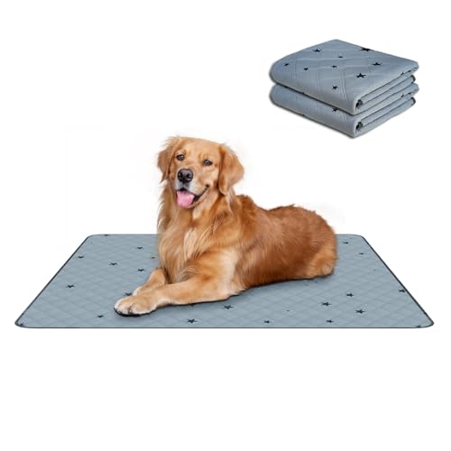 Image of RIOUSSI Washable Pee Pads for Dogs, Reusable, Absorbent, Leakproof, Non Slip Pet Puppy Pads for Potty Training. Gray Stars, 24x36 Inch(2pack)