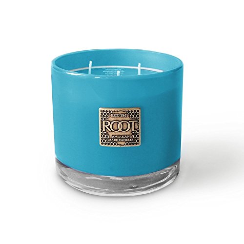 Root Miscela di Cera d' api con stoppini, Candela profumata, Personaggi Innovation