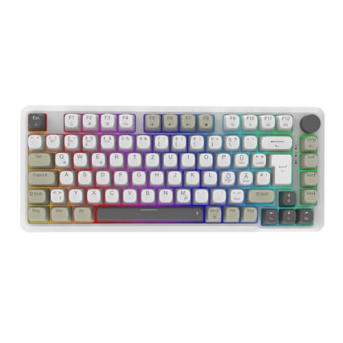İnca IKG-455 Clavier de Jeu sans Fil, commutateurs Gris remplaçables à Chaud, Batterie 4000 mAh, tri-Mode (Bluetooth/2,4 GHz/USB-C), Design de Montage d'étanchéité, Touches PBT, éclairage RVB