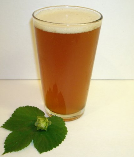 Ambers Amazing Ale (5 gallon)