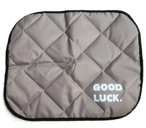 VchZ ybgp}bg, hEhtA}bg, LeBOH, O[, 25x20cm (R[q[iL))