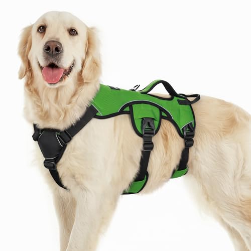 rabbitgoo Escape Proof Dog Harness, Soft Padded Full Body Pet Harness, Reflective Adjustable No Pull Vest with Lift Handle and Lesh Clip for Large Dogs Walking Hiking Training, L, Green