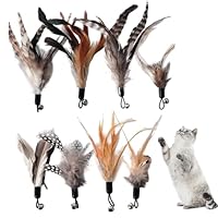 Sivono Katzenspielzeug Federn,8 Stück Katze Federspielzeug mit Glocken, Feder Teaser, Katzen Federspielzeug,Ersatzfeder Nachfüllpackungen mit Glocken, Exerciser Spielspielzeug für Katzen