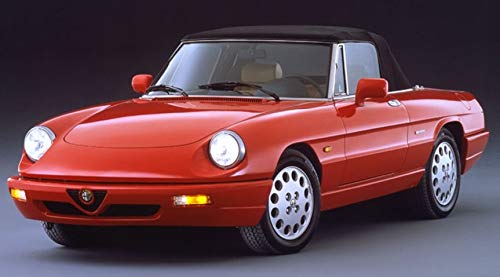 2 Tappetini Auto in Moquette Margherite su Misura