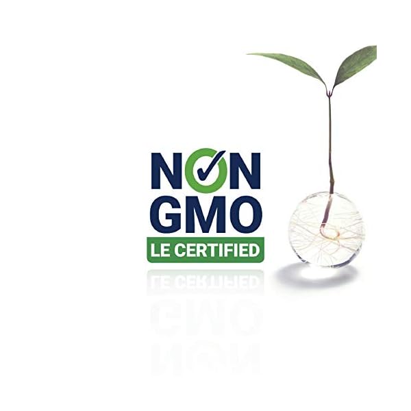 Life-Extension-Cardio-Peak-with-Standardized-Hawthorn-and-Arjuna-120-Vegetarian-Capsules Life Extension Cardio Peak - Hawthorn Extract (Leaf, Flower, Stem) Supplement with Arjuna Extract for Heart Health Support - Twice Daily - Gluten Free, Non-GMO, Vegetarian - 120 Capsules