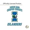 Desert Cactus Texas A&M University Corpus Christi TAMUCC Islanders Sticker Vinyl Decal Laptop Water Bottle Car Scrapbook (Family Full Sheet) #5