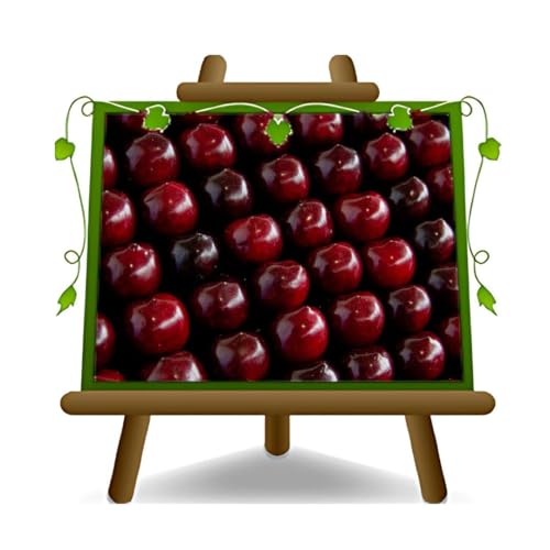 EURO PLANTS VIVAI Cerisier doux Dolce Durone di Vignola III plante fruitière ancienne sur pot 24 cm hauteur maximale 180 cm – Âge 4 ans