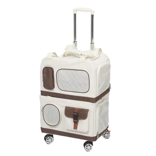 wybg[OP[XA\tgGbW̔Lƌ̃LAAʋCƒʋCAő15|h̔L2CɍœKAsɍœK