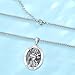 LOOVE St Francis of Assisi Necklace - Sterling Silver Patron Saint of Animals Medal for Men Women - Religious Amulet Oval Jewelry