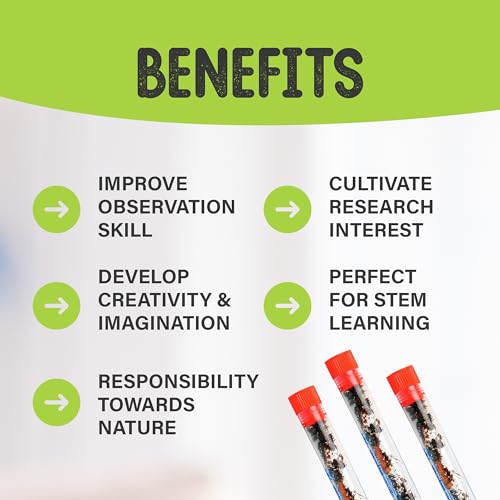 Nature Gift Store XH-95RP-DM1T 1 Tube Of Live Ant Farm Ants Plus Ant Food And Honey Treat: Ant Farm Kit Refill thumb #5