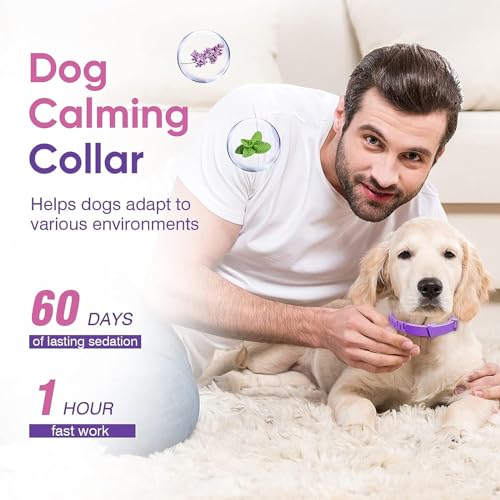 XoeLLe Beruhigungshalsband für Hunde, 2 Pack Verstellbares Calming Collar for Dogs, Beruhigungsmittel Halsband 60 Tage Schutz, Angst Stress Pheromon-Beschwichtigungshalsband für Große, Mittlere Hunde