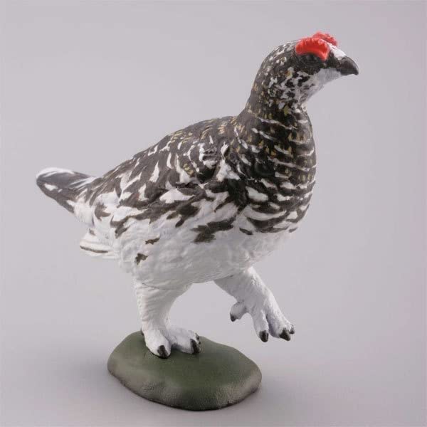 Amazon | カプセルQ 日本の動物コレクション8 日本アルプス 雷鳥