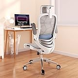 ERGOUP Ergonomic Office Chair Computer Desk Chiar Mesh High Back Desk Chair, Mesh Computer Chair wit