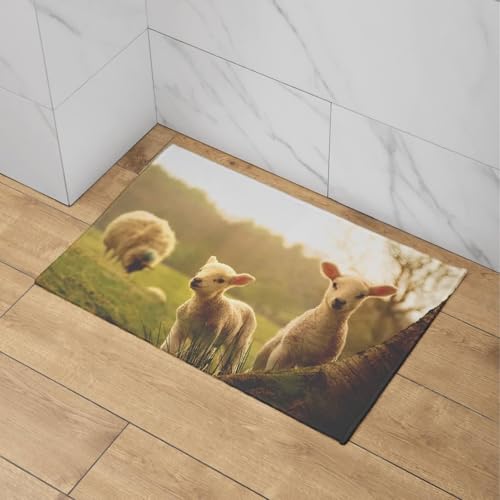 Felpudo entrada rectangular de oveja linda y alfombrilla baño XL 50x80 5
