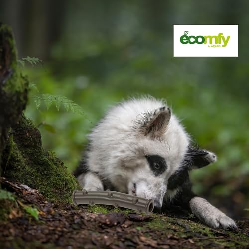 ECOMFY Olive Eco Chew Toys For Dogs | Dental Stick 12.5cm| Dog Toys For Boredom| Eco-Friendly Dog Chew Toy - Long-Lasting Fun | Dog Teething Toys | Dental Health, Sustainable Playtime - Image 3