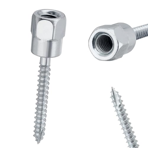 Vis d'ancrage pour tige de 0,95 cm x 5,1 cm en acier au carbone argenté durable