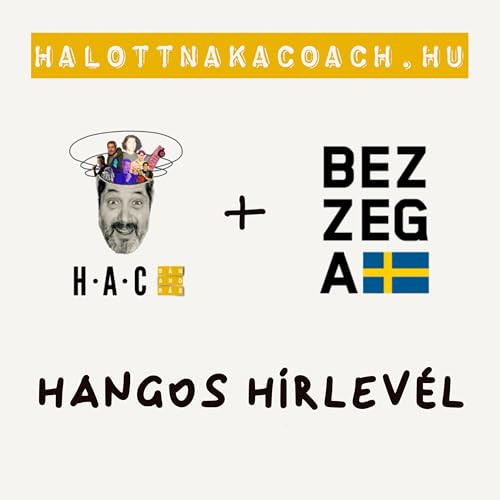 HH185 🎯 te vitorlázol vagy evezel?