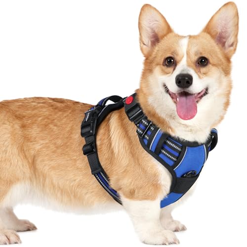 rabbitgoo Dog Harness Small Dog with Neck Release Buckle, Adjustable Soft Padded Puppy Pet Vest with Easy Control Handle, Reflective No Pull Dog Harness with Front Back Clips, Blue, S option