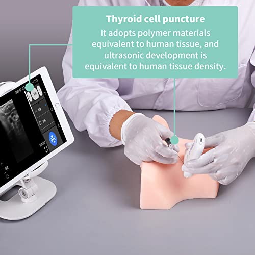 Image of Ultrasound Guided Thyroid Puncture Phantom Thyroid biopsy Puncture Practice Training, Cell biopsy, Focus radiofrequency Ablation Practice, Training Teaching Demonstration