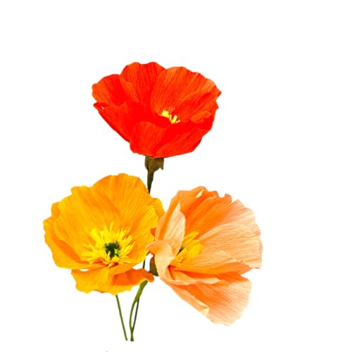 Kit DIY para fazer flores de papel crepe, 24 peças (laranjas)