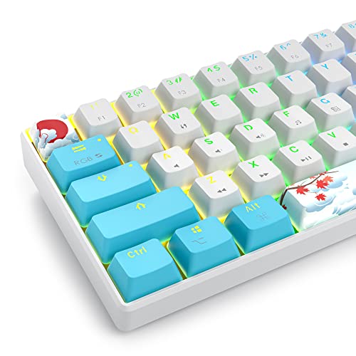 Image of Fogruaden 60% Mechanical Gaming Keyboard, 68 Keys, RGB Backlit, Compact 60 Percent Wired Keyboard for Win /Mac PC Gamer, Easy to Carry on Trip (68Sea-RedSwitch-RGB)