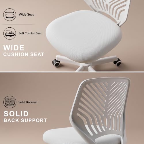 Image of DROGO Nova Ergonomic Office Chair, Armless Mesh Desk Chair with Breathable Backrest & Height Adjustable Seat, Soft Cushioned Computer Chair for Home, Study & Bedroom, 1 Year Warranty (White)