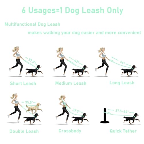Ensemble collier et laisse pour chien réglable ZALER de 1,8 m - 6