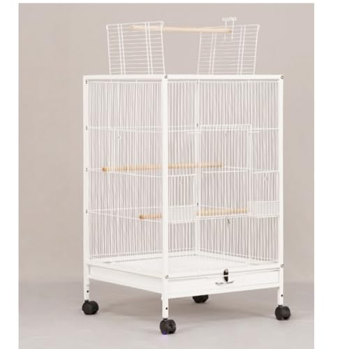 GEGEBOMTXO  ^  P[W P[W o[hQ[W  傫ȒƎԗ֕t x 傫  CR  gJS IJ ZLZC {^  LX^-t ȒPɈړł ȒP (zCg,A-X^_[