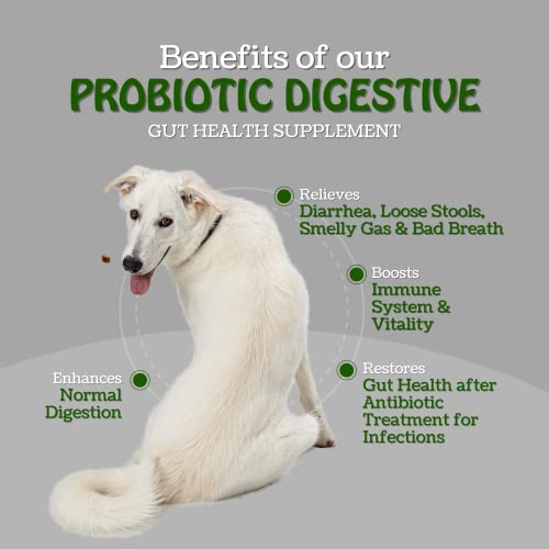 Premium Probiotics For Dogs - 120 Soft Chews - For Immune System Boost & Relief Of Diarrhea, Gas, Bad Breath, Yeast, Skin Itching + 7 Natural Digestive Enzymes For Improved Digestion. Made In Usa #TOP2
