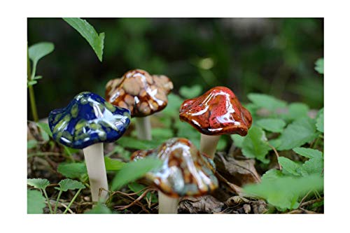 YINING A K[fI[ig /IuWF/u 蕨 G{ 킢  X  CeAG (̂ 4Zbg)