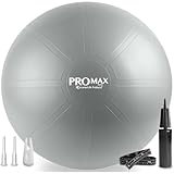 SmarterLife PRO MAX Gymnastikball für Stabilitätstraining, Fitness, Schwangerschaft, Yoga, Pilates, Heimstudio, Physiotherapie, Geburt, Balance Ball Stuhl (65cm, Silber)