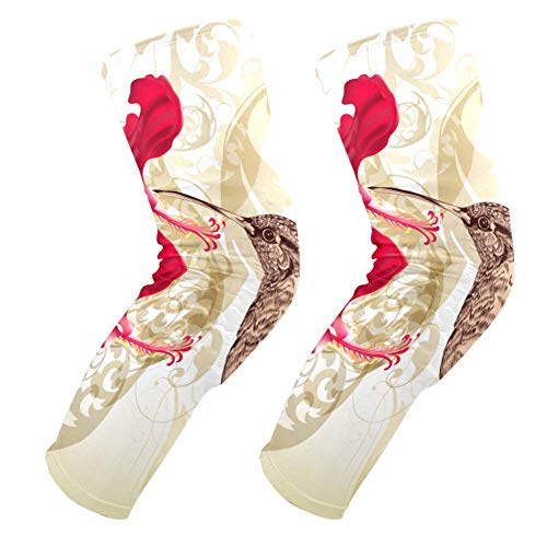 Genouillères rembourrées colibri et fleurs pour homme et femme protection genoux