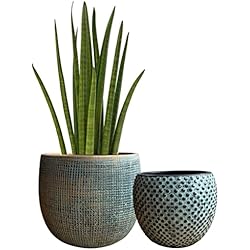 Macetas De Barro Originales Olly & Rose Juego de macetas de cerámica Verde Dorado de 2 a 17 y 14 cm, macetas de Cemento para Interiores y Exteriores