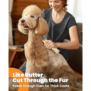 oneisall-Dog-Clippers-for-Grooming-for-Heavy-Thick-Coat-2-Speed-Low-Noise-Dog-Grooming-Kit-Rechargeable-Cordless-Dog-Trimmers-with-Metal-Blade-for-DogsPets - Cucciolini Doodles   oneisall-Dog-Clippers-for-Grooming-for-Heavy-Thick-Coat-2-Speed-Low-Noise-Dog-Grooming-Kit-Rechargeable-Cordless-Dog-Trimmers-with-Metal-Blade-for-DogsPets