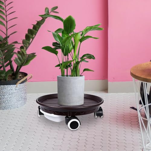 Leefasy Conjunto de 2 suportes para mover plantas em vasos com rodas, rolo de bandeja para plantas m