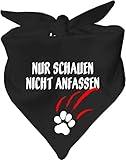 Kleiner Fratz