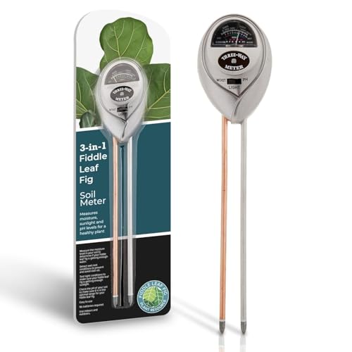 Fiddle Leaf Fig Essentials Bundle miniatura 4