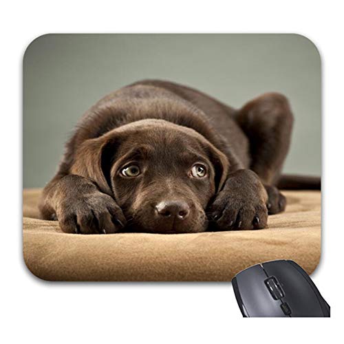 Funice Mauspad mit süßem Welpen, trendiges Büro, Computerzubehör, 22,9 x 19,1 cm