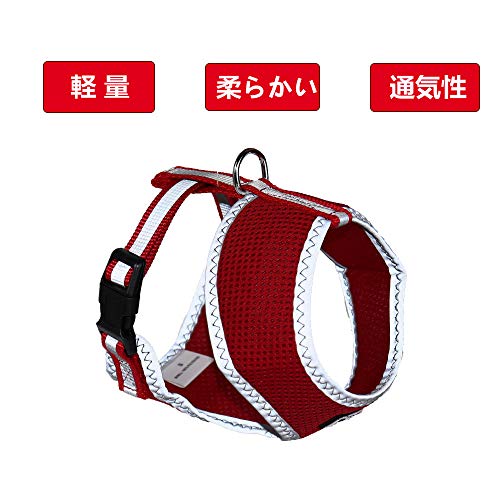 main