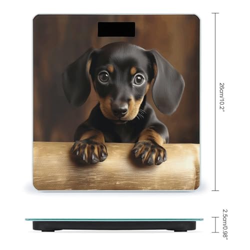 Báscula Digital de Peso Corporal Perro Salchicha Compacta miniatura 2
