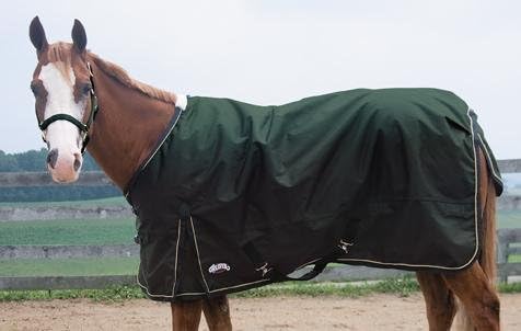 Weaver LeatherHorse Blanket