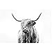Produktbild HSFFBHFBH Leinwand Kunst Schwarz und Weiß Highland Cow Print und Poster Leinwand Malerei Kinderzimmer Dekor Wandbild für Wohnzimmer 50x70cm (19.7"x27.6) Kein Rahmen4